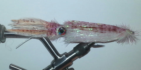 Sierra Squid